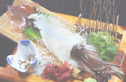 活刺身御膳